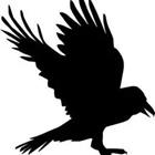 Una imagen de la historieta de un cuervo negro