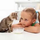 Una niña jugando con un gato con un tazón de leche