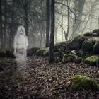 Fantasma en el bosque