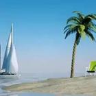 Playa con velero y palmera