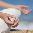 Las manos en la meditación