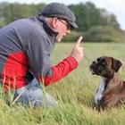 Un hombre que entrena a su perro en el campo