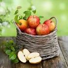 Una cesta de manzanas rojas