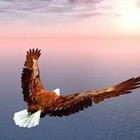 Un águila volando en el aire