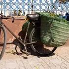 Una bicicleta con bolsas de verde en el lado de ella