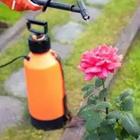 Una naranja puede con un spray en la parte superior de pie sobre una flor