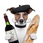 Perro con el vino y el pan baguette